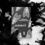 "Sommeil" de Haruki Murakami et Kat Menschik, un régal pour l'esprit et les yeux