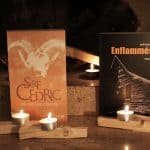 Deux thrillers qui parlent de sectes: Du feu de l'enfer de Sire Cédric et Enflammés de Joël Jenzer